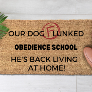 Our-Dog-Flunked-Obedience-School,-He's-Back-Living-At-Home-1