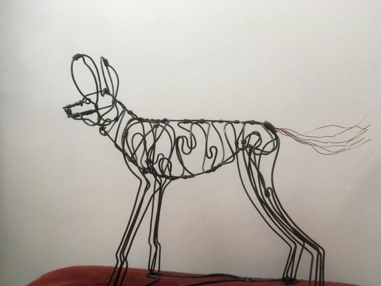 Painted Wolves (Wild Dog) Snare Art