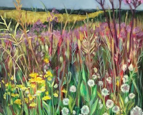 highveld-indigeonous-wildflowers